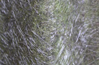 North Landing fibreglass roof work